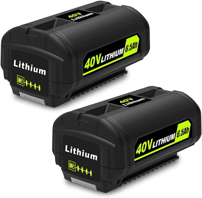 2 40v lithium batteries